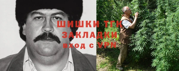крисы Майский